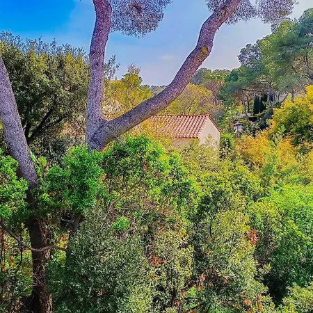 Reiala Saint-raphael Saint-Raphaël